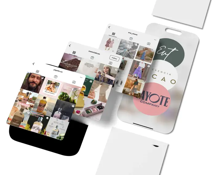 Composición de identidades visuales y perfiles de redes sociales de marcas emprendedoras