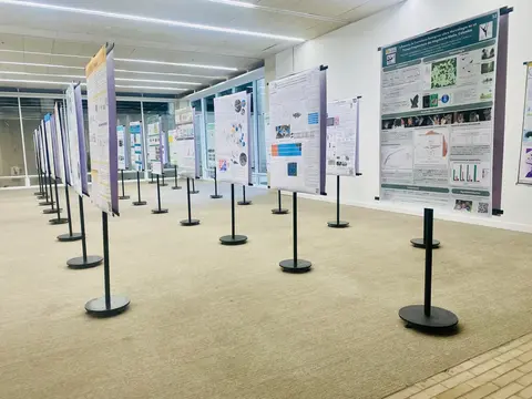 Sesión real de pósteres organizada con soluciones de Aviv Art